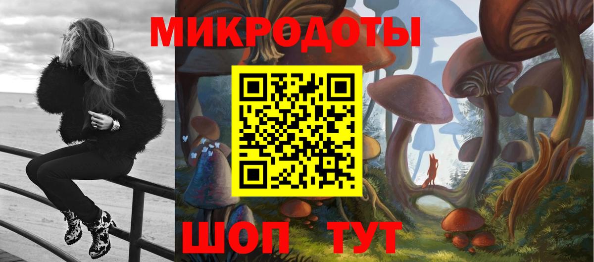Чапаевск  Псилоцибиновые грибы MAGIC MUSHROOMS  закладка  Галлюциногенные грибы ЛСД  Вход с VPN 